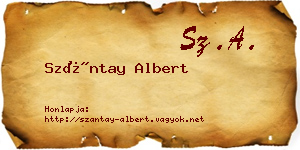 Szántay Albert névjegykártya