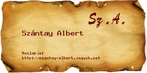Szántay Albert névjegykártya